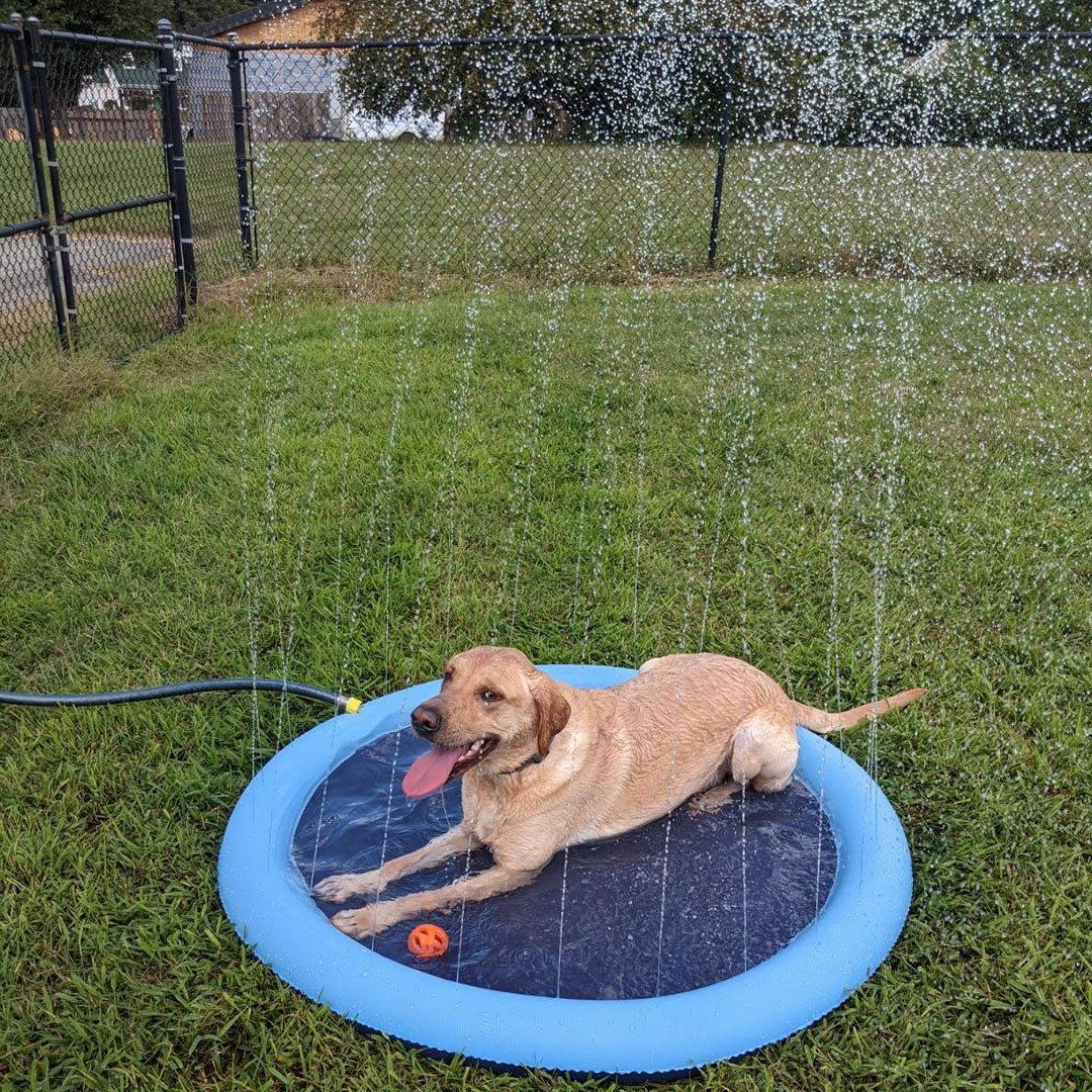 Sprinkler Pool