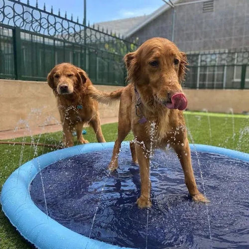 Sprinkler Pool