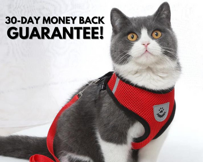 Cat Harness