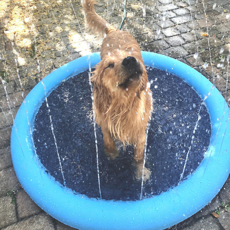 Sprinkler Pool