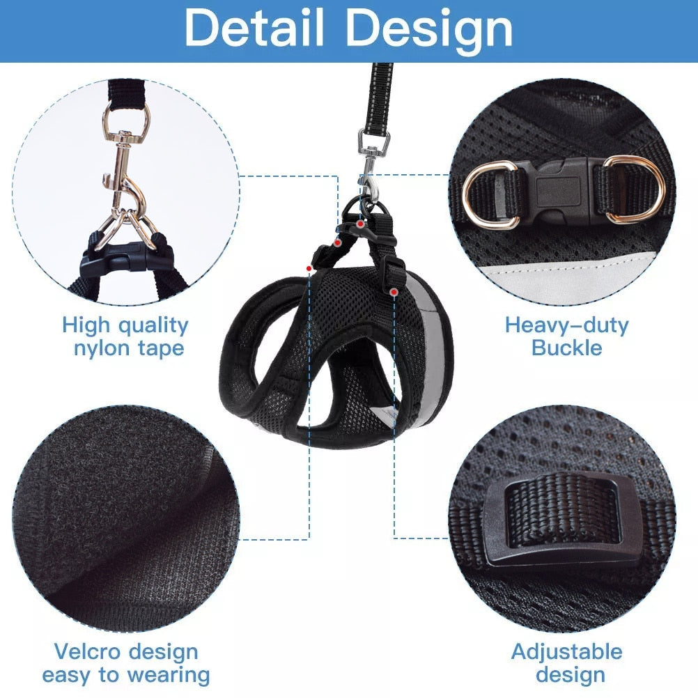 Cat Harness