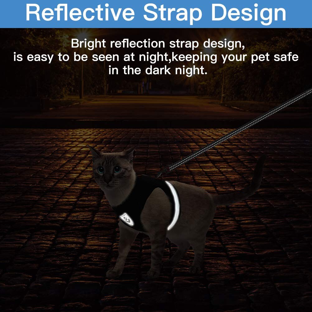 Cat Harness