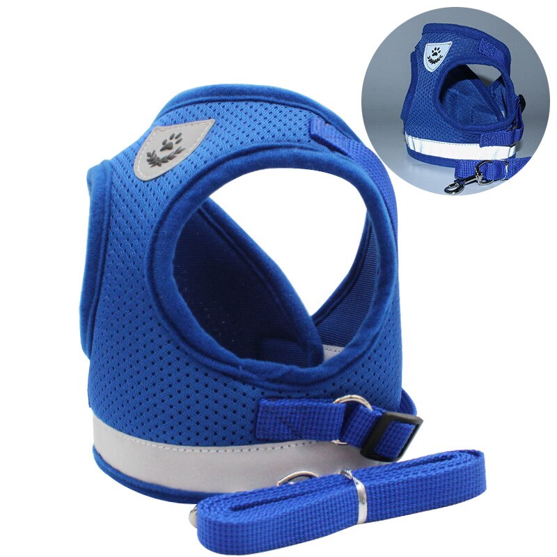 Cat Harness
