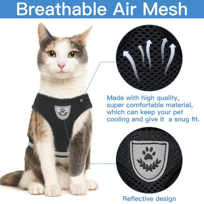 Cat Harness