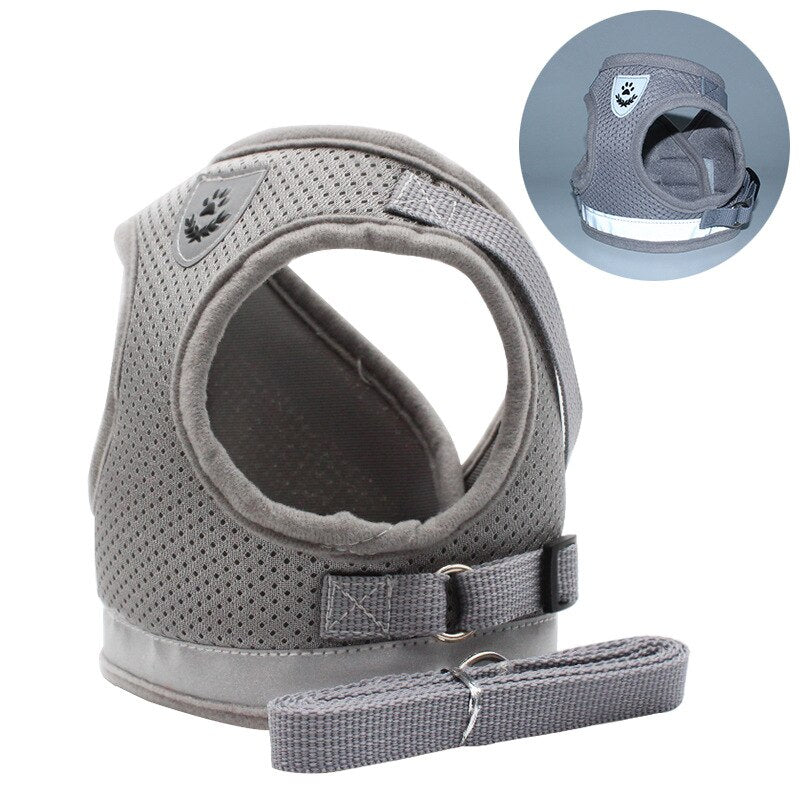 Cat Harness