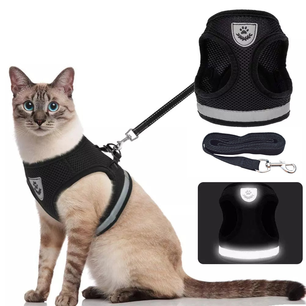 Cat Harness